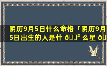 阴历9月5日什么命格「阴历9月5日出生的人是什 🌲 么星 🌷 座」